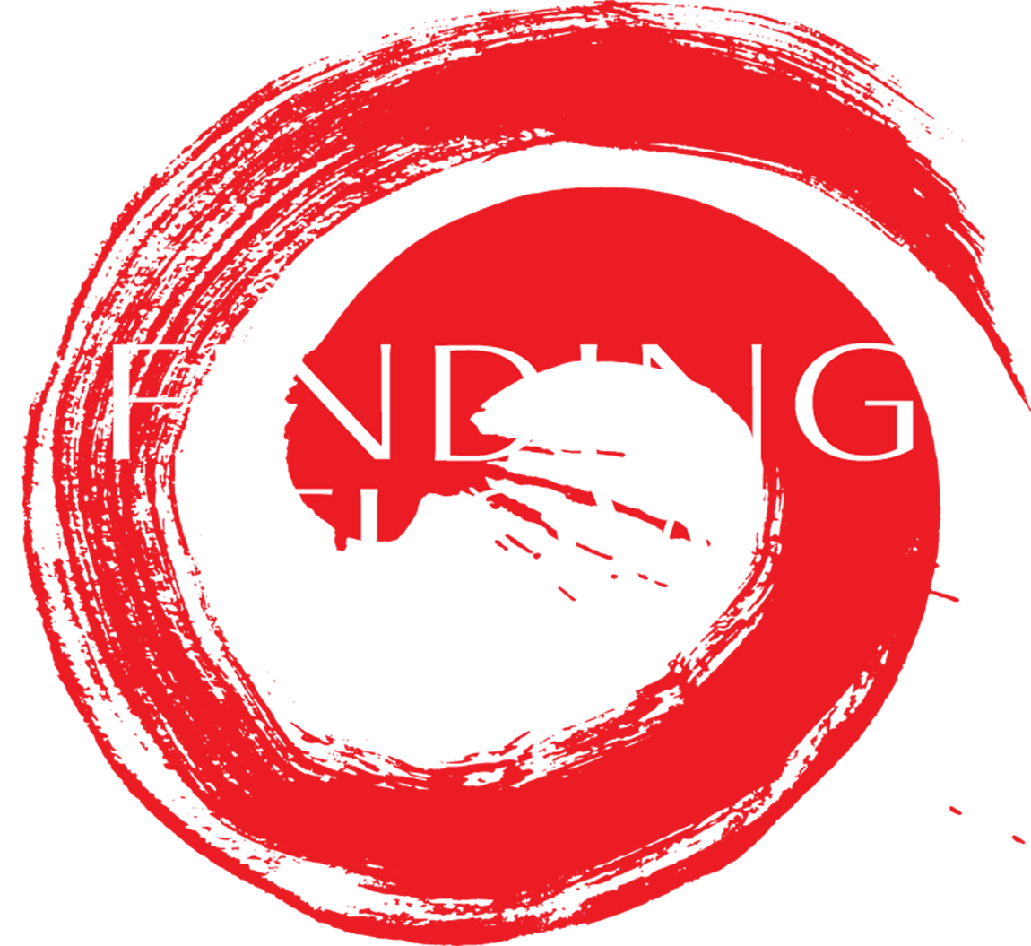 Finding Flow logo